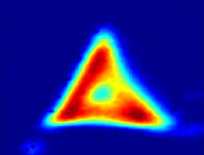 532nm皮秒激光器在时间分辨荧光领域的应用