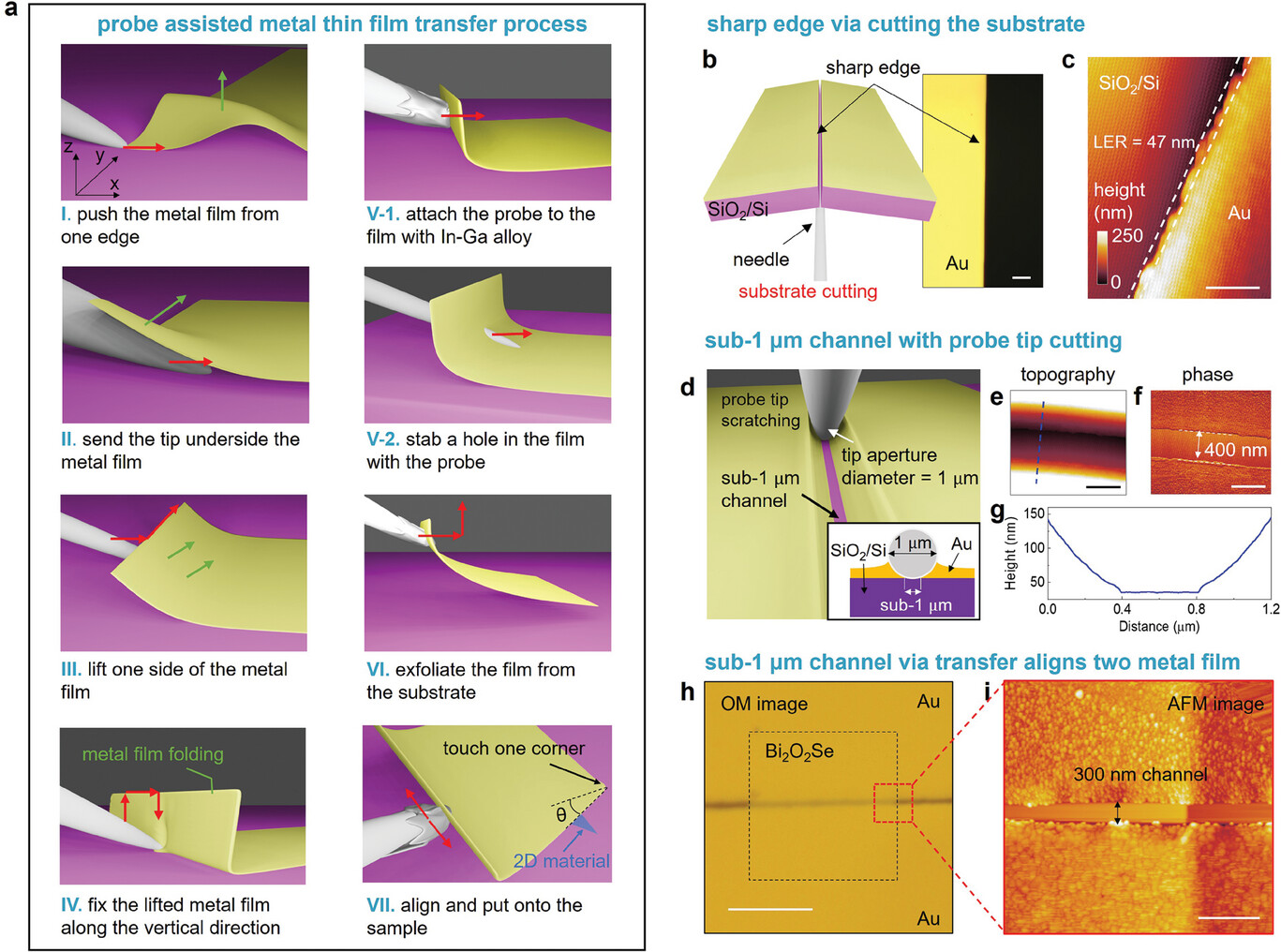 adfm202407821-fig-0002-m.jpg