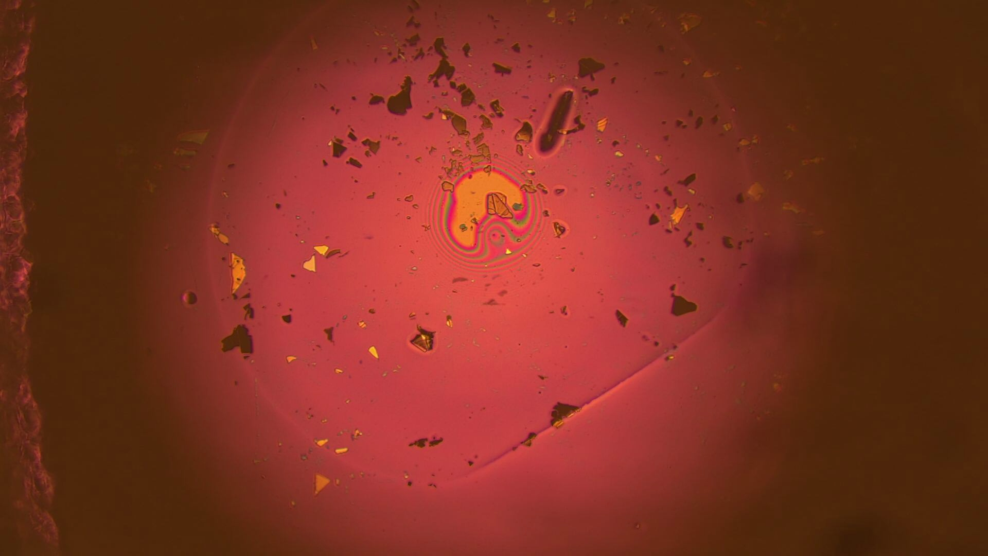 VID_0004.asf_20250731_100541.915.png