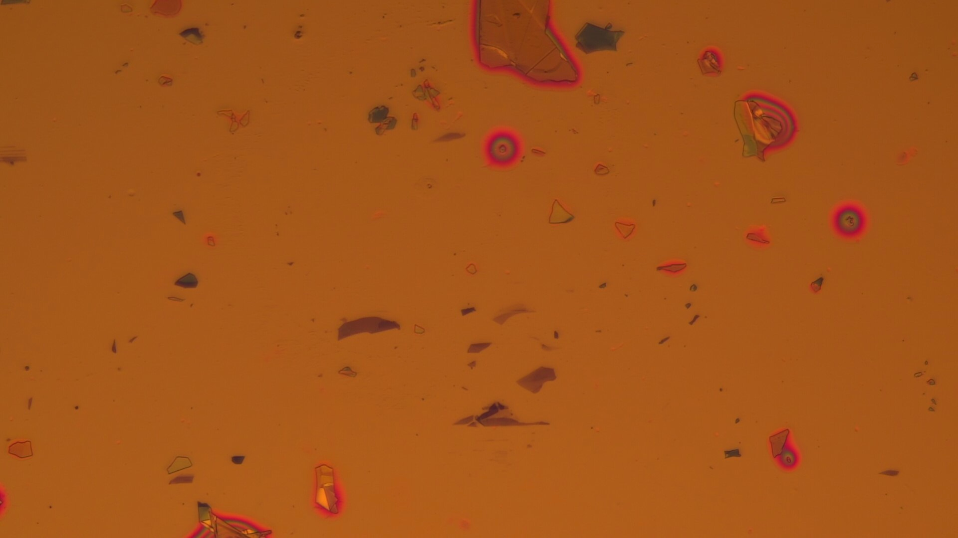 VID_0004.asf_20250731_100610.501.png